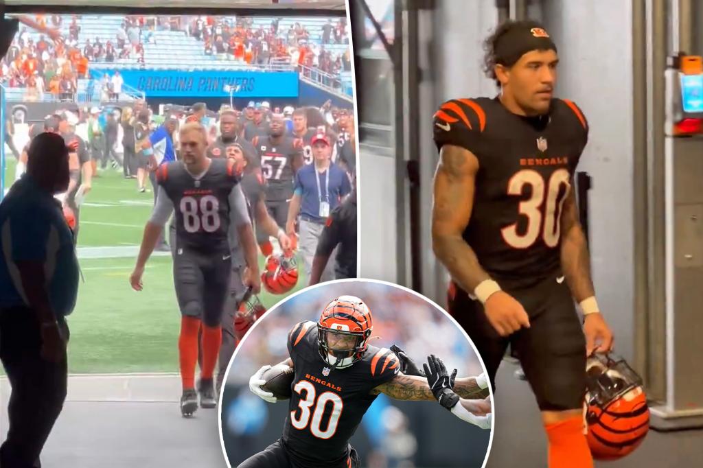 신시내티 벵갈스 체이스 브라운은 캐롤라이나 경기 후 팬이 그에게 술을 쏟았다고 말했습니다. NFL, NFLPA 조사
