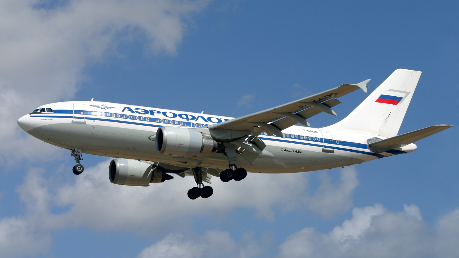 Aeroflot Flight 593은 어떤 종류의 비행기였으며, 엄청난 추락의 원인은 무엇입니까?