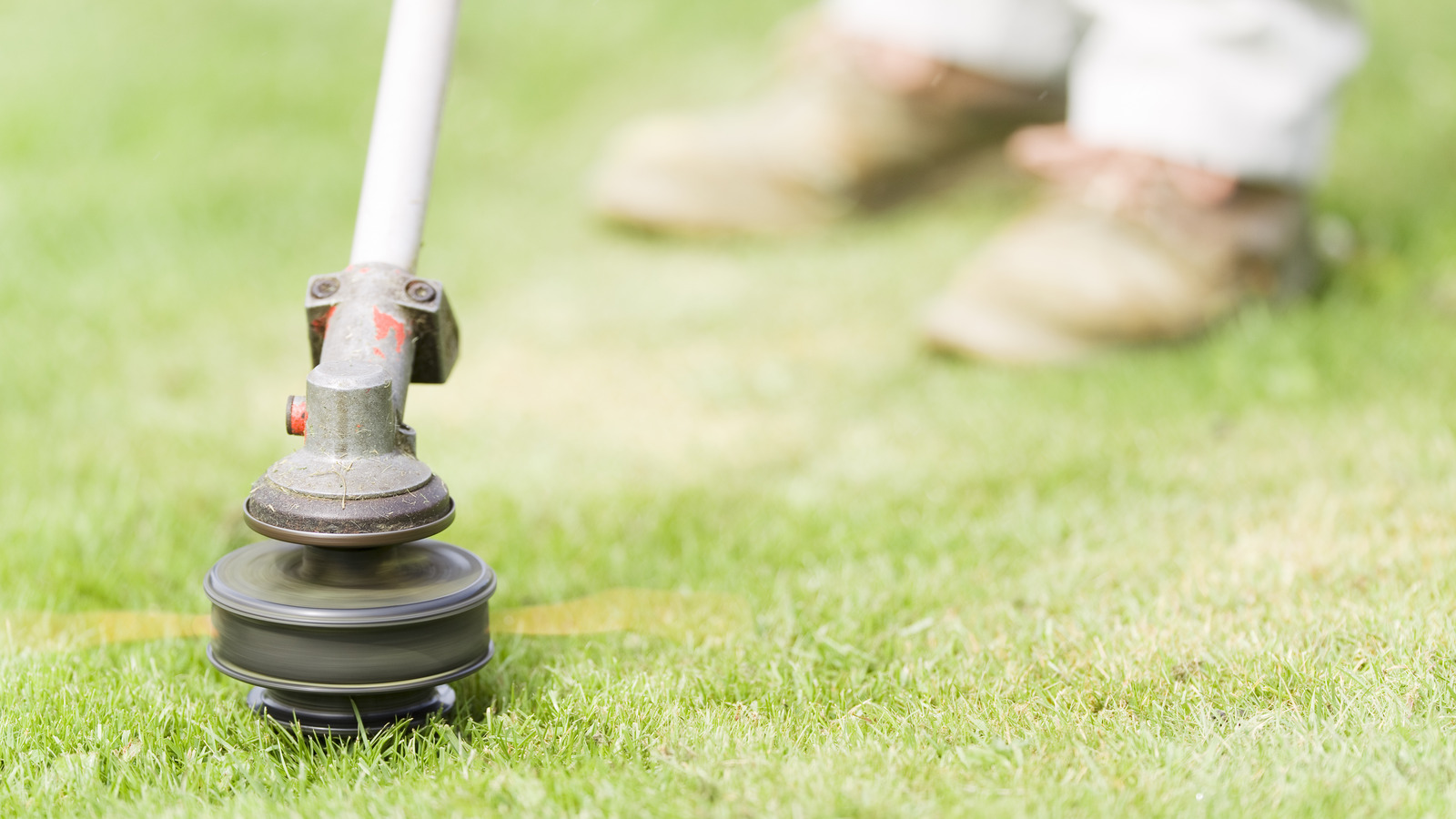 료비 대. Black+Decker 잡초 먹는 사람: 이 스트링 트리머는 어떻게 비교됩니까?