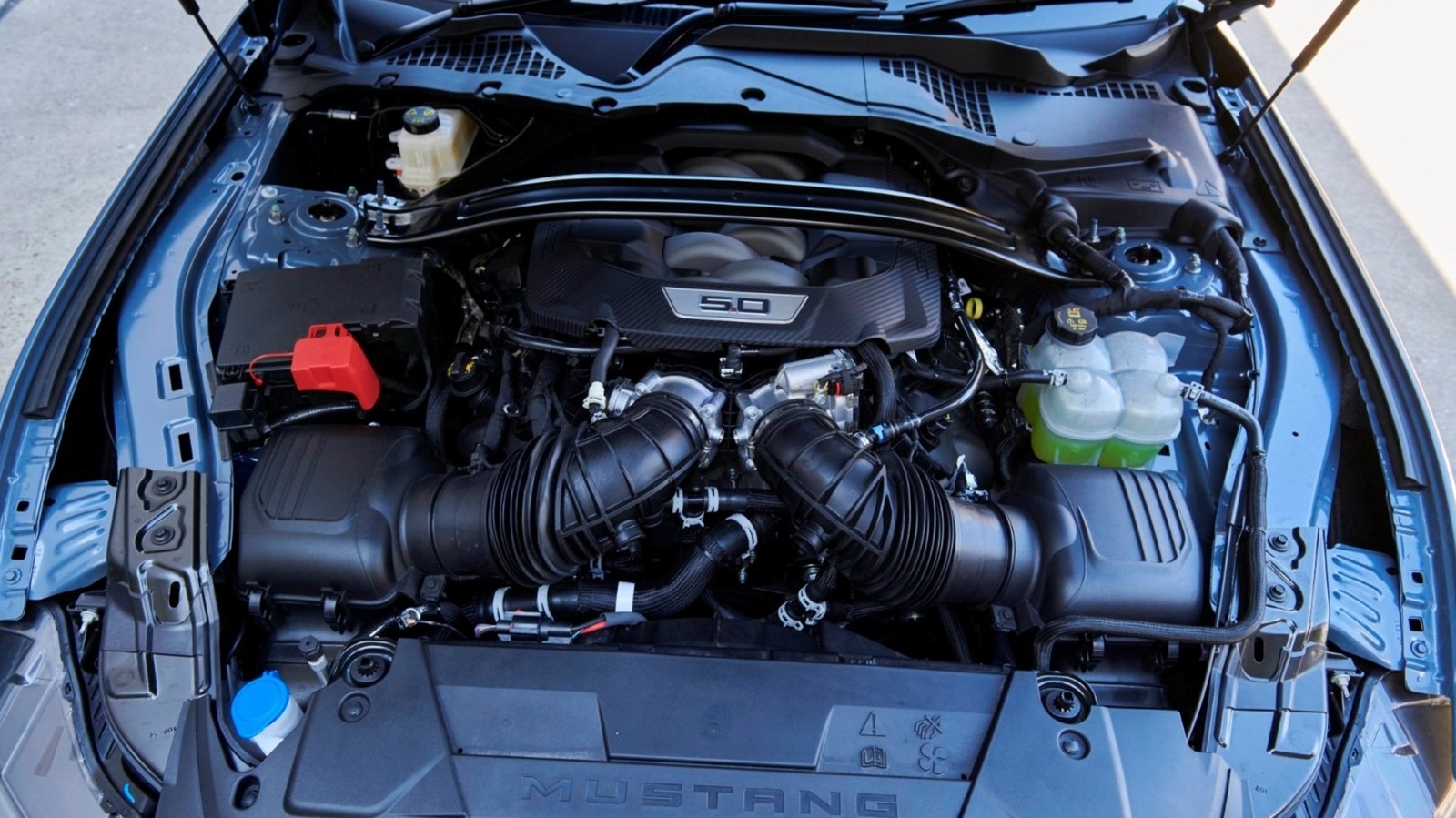 Ford 5.0 코요테 엔진의 일반적인 문제 (소유자에 따라)