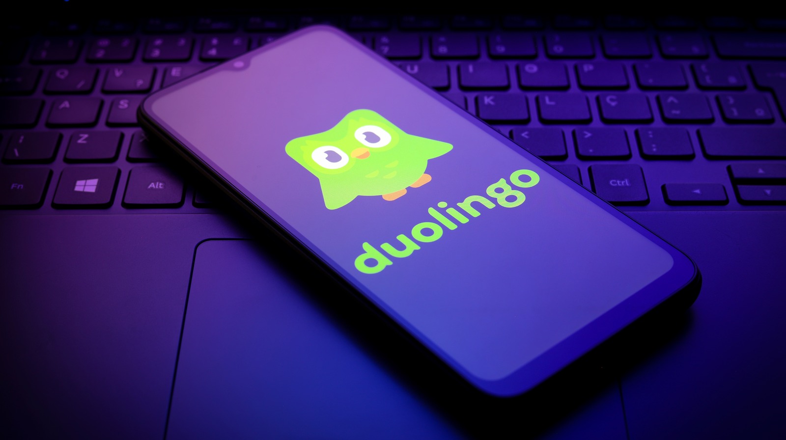 최고 등급의 Duolingo 대안 중 4 개