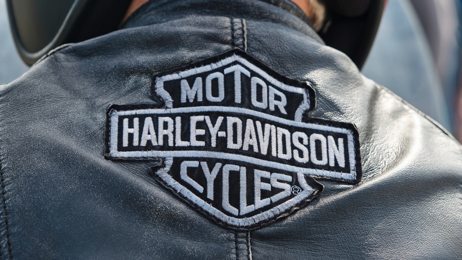 Harley-Davidson 주주는 누구이며 회사는 언제 공개 되었습니까?