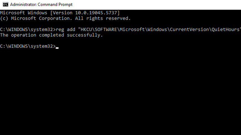 Windows 11의 명령 프롬프트 스크린 샷