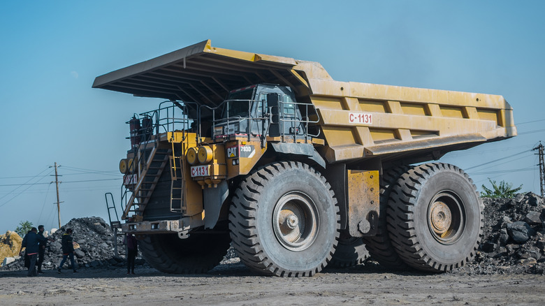 푸른 하늘 배경이있는 애벌레 797의 측면도