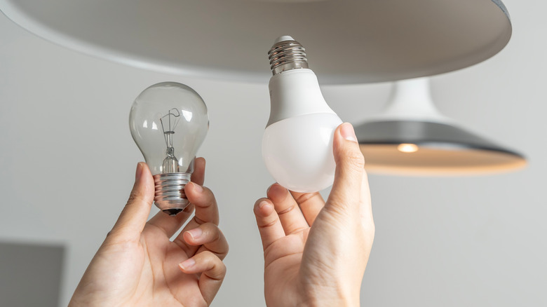 백열기와 LED 전구를 들고있는 사람