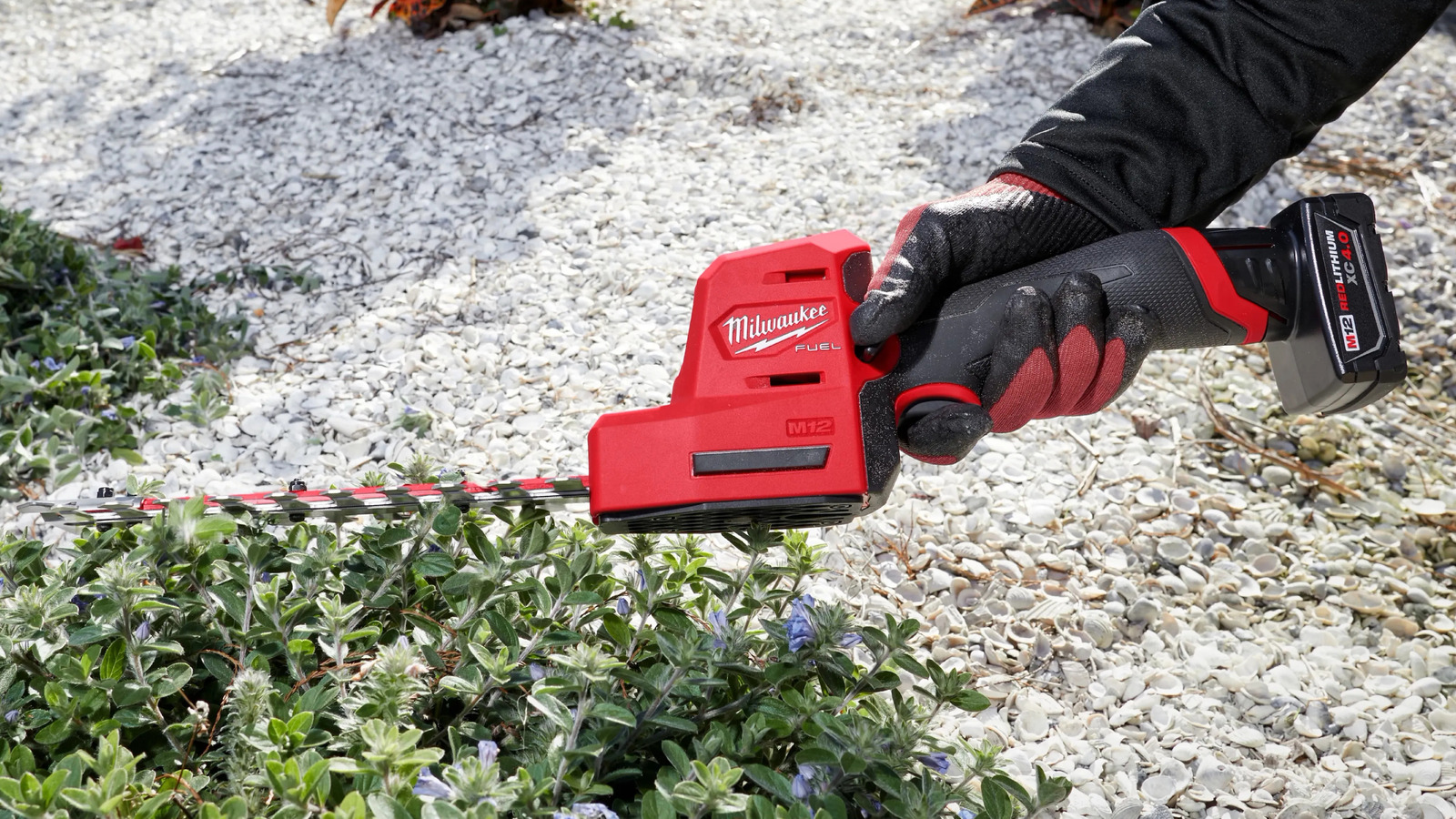 Milwaukee Hedge Trimmer Blade를 선명하게 할 수 있습니까? 아니면 그냥 교체해야합니까?