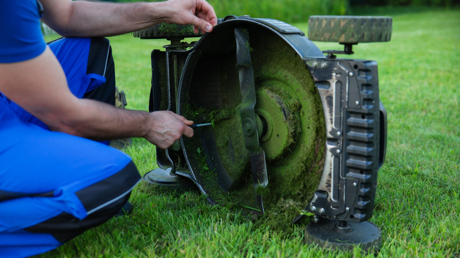 잔디 깎는 기계 블레이드를 얼마나 자주 교체해야합니까?