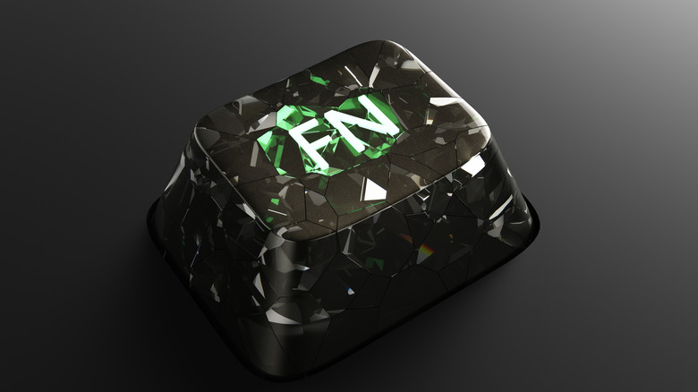 FN 단어는 네온 쉐이드의 키보드 키에 포함됩니다.