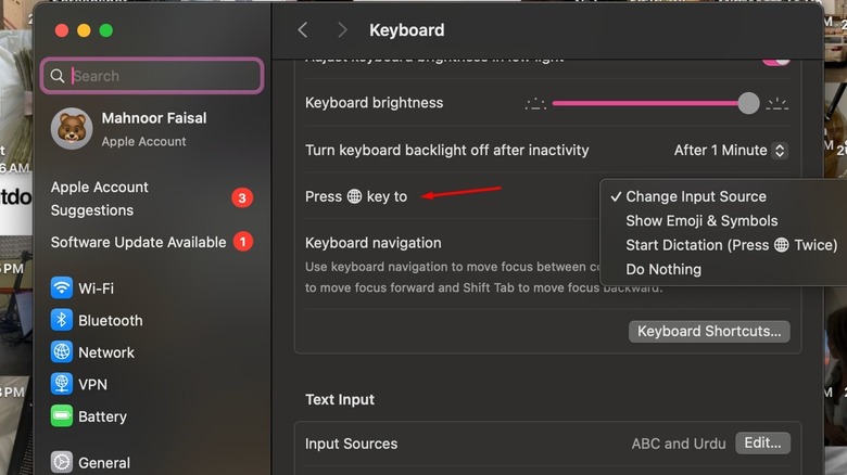 시스템 설정의 키보드 섹션에서 FN 키를 눌러 옵션을 누릅니다.