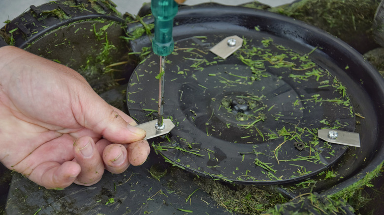 젖은 잔디가 보이는 잔디 깎는 기계 블레이드를 바꾸는 사람