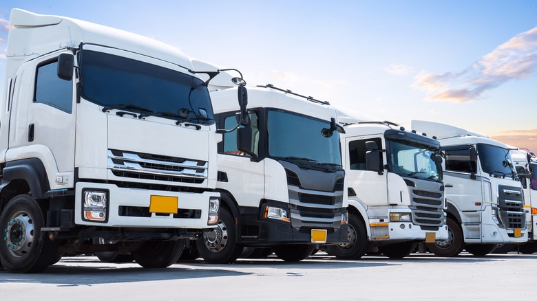 반 트럭이 줄을 섰습니다