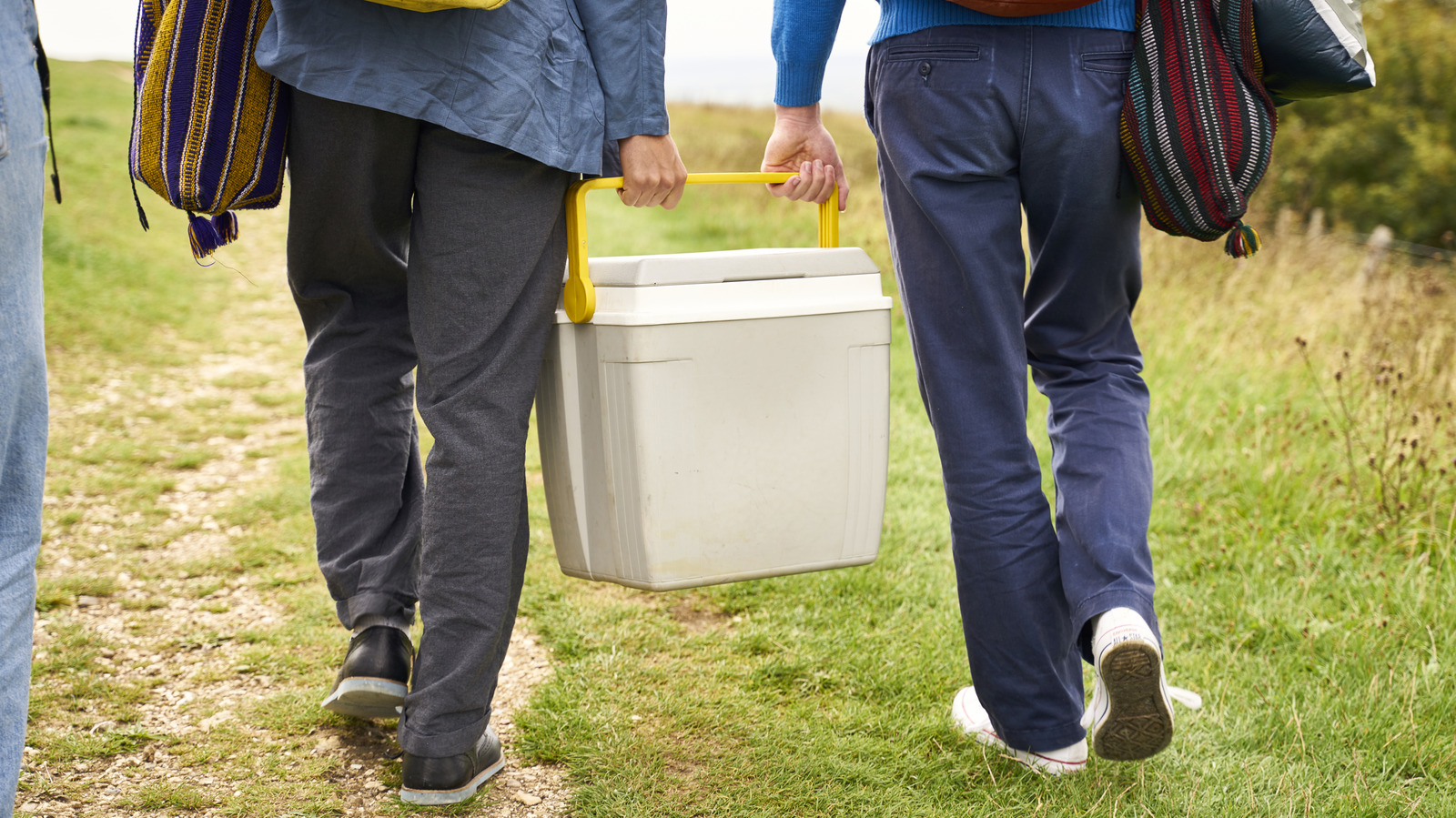 단열재의 색상이 정말로 중요합니까? 여기에 알아야 할 내용이 있습니다