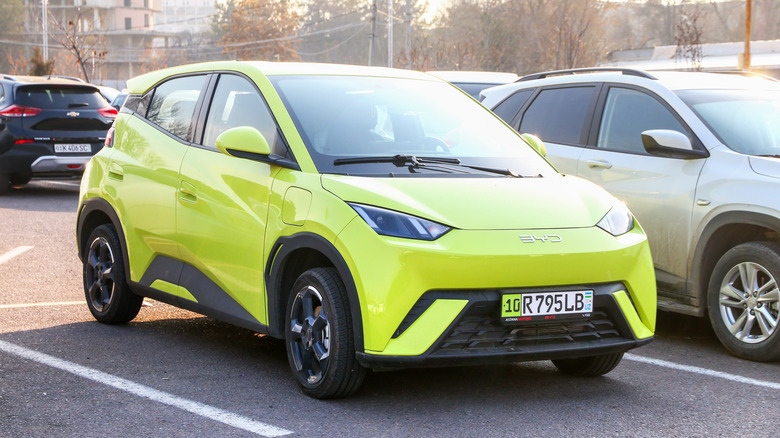 주차장의 녹색 Byd Seagull/Dolphin Surf