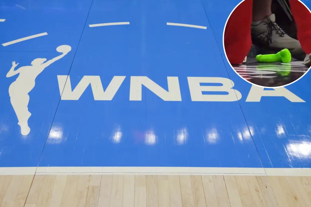WNBA 경기에서 법정에 섹스 토이를 던져 팬 체포 팬
