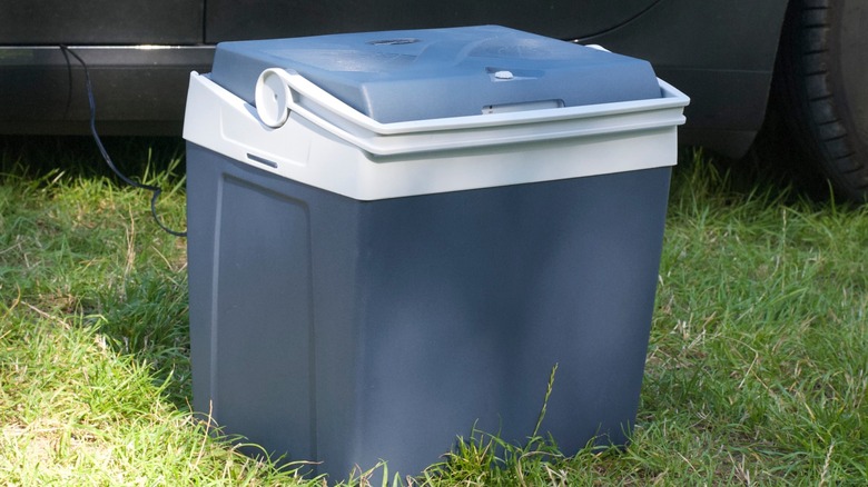 차 옆 잔디에 앉아 회색 파란색 전기 쿨러