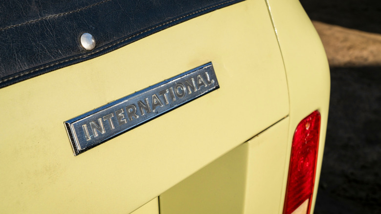 국제 스카우트에서 국제 로고의 클로즈업