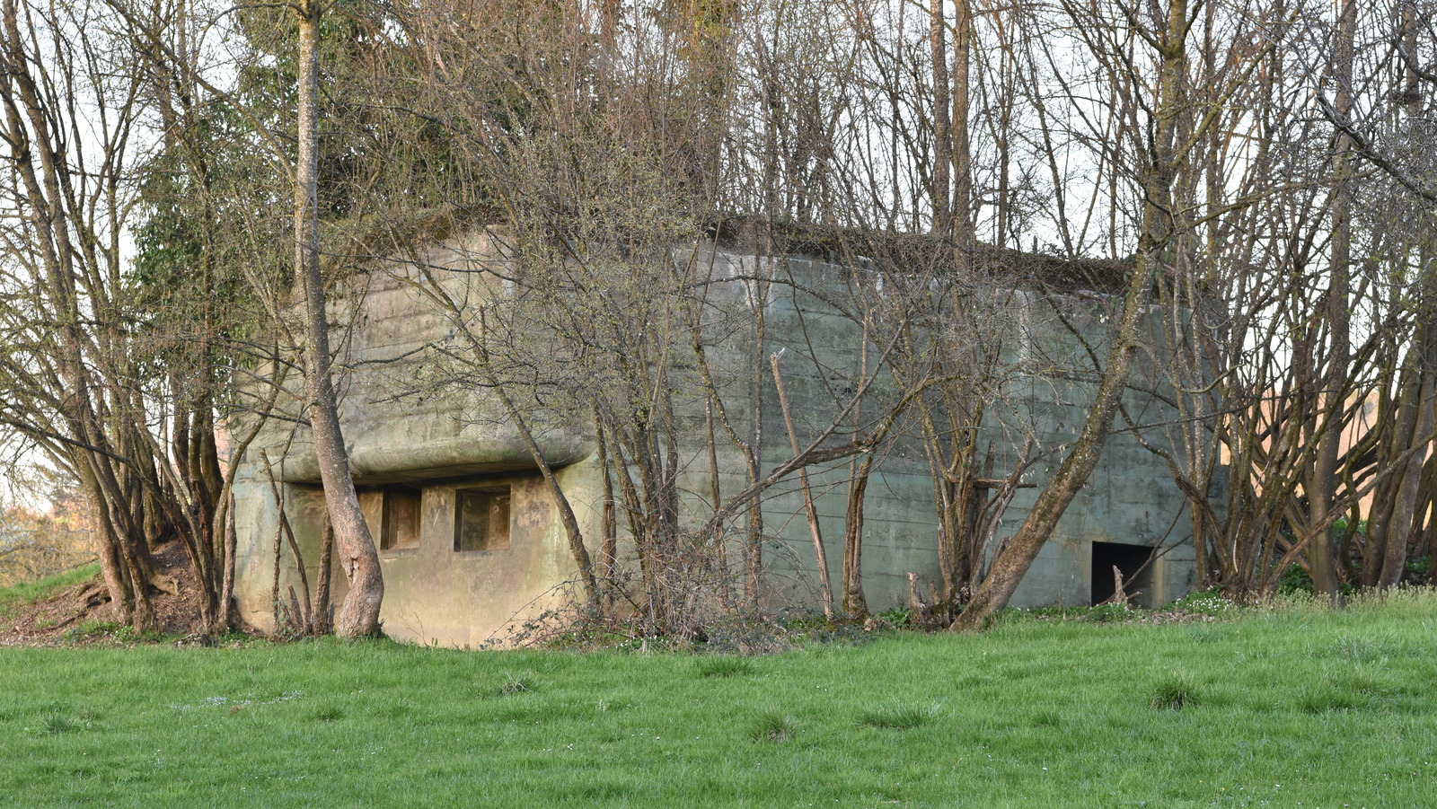 어느 나라가 가장 핵 벙커를 가지고 있습니까?