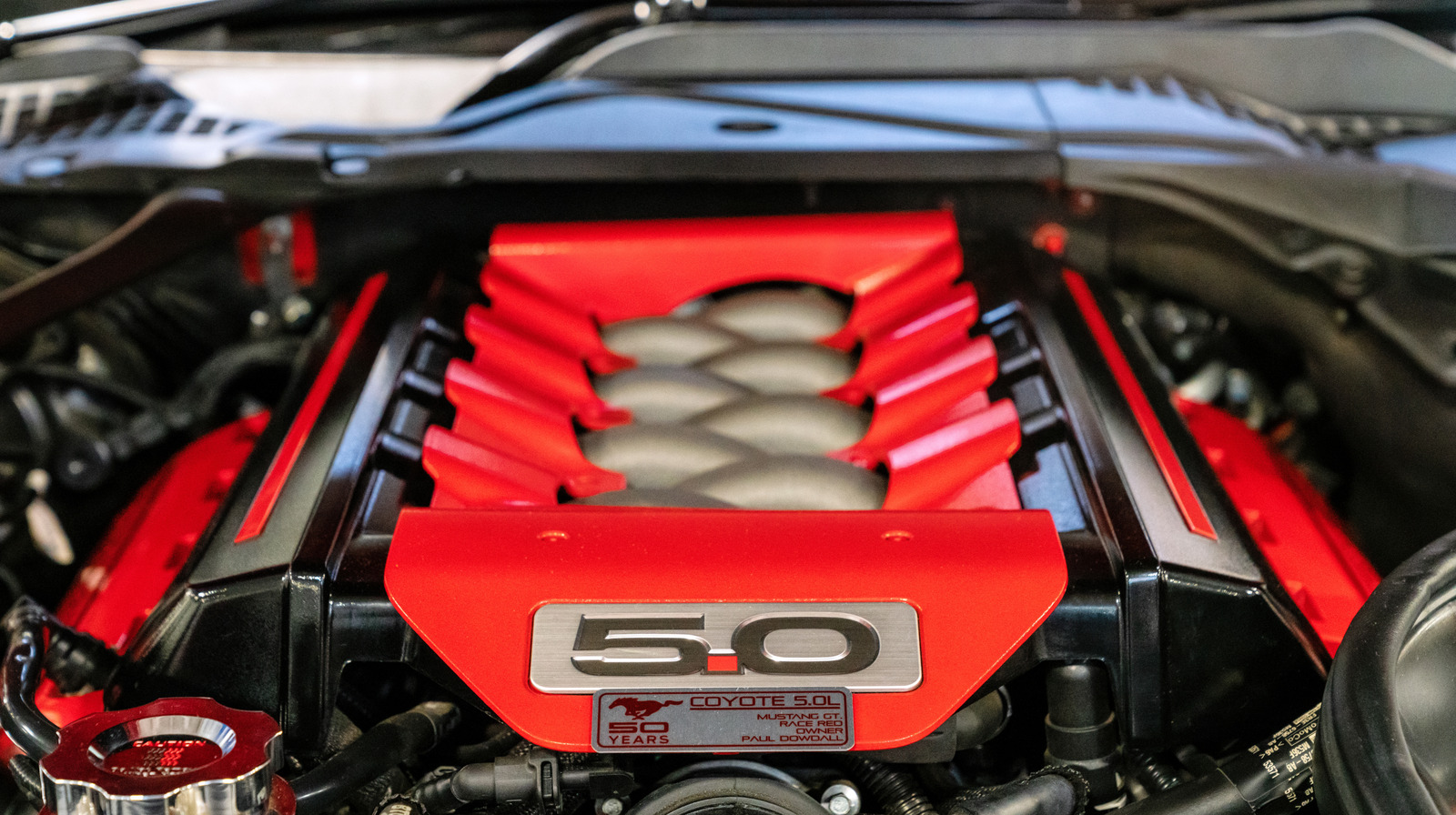 포드의 코요테 엔진이 역대 최고의 V8 중 하나 인 이유