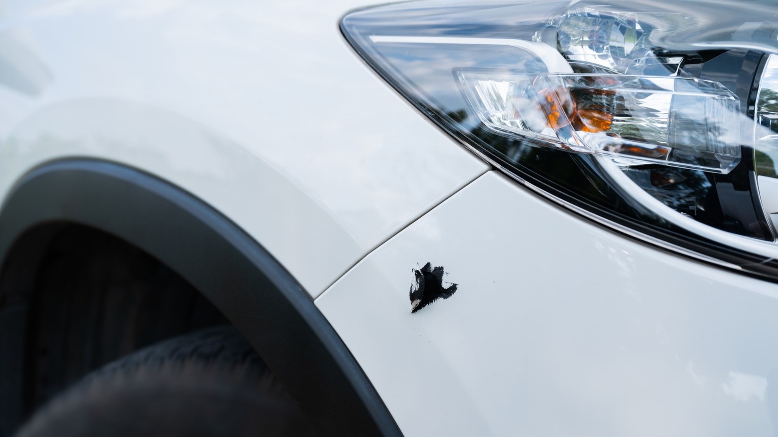 범퍼 커버 대 범퍼 : 그들은 같은 것이 있습니까?