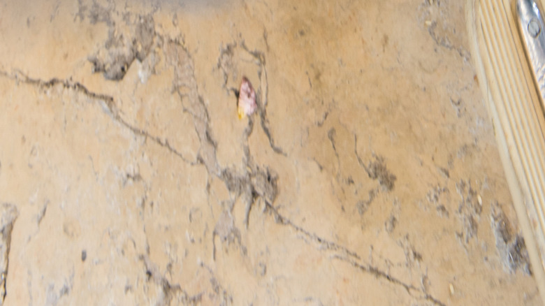 오토바이를 시작하는 발의 흐릿한 느린 셔터 속도 샷