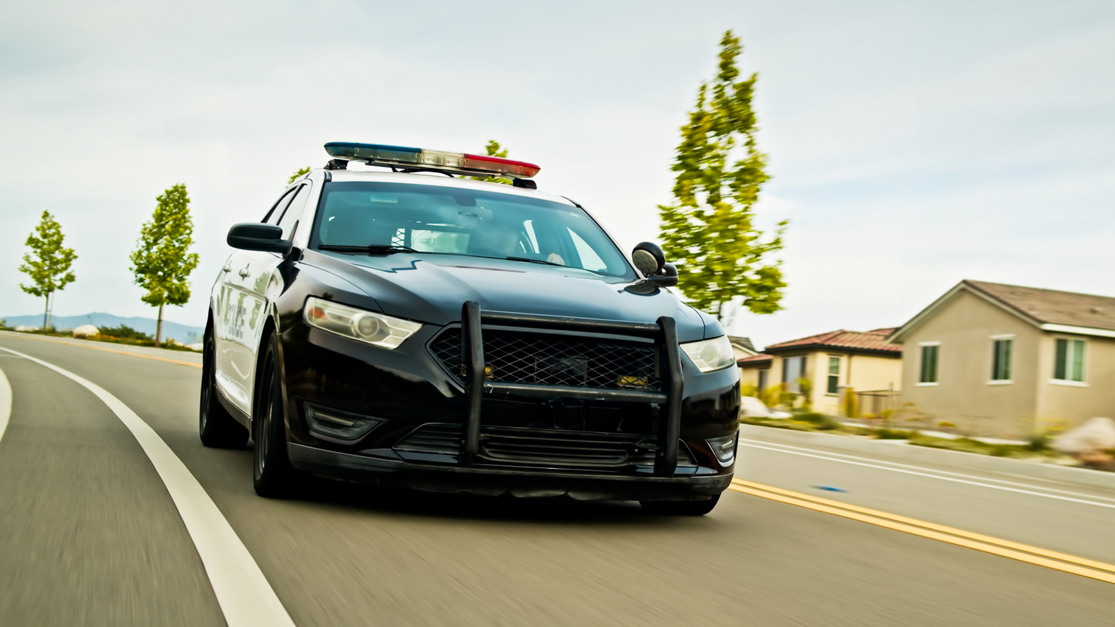 경찰차 뒷면에는 안전 벨트가 있습니까?