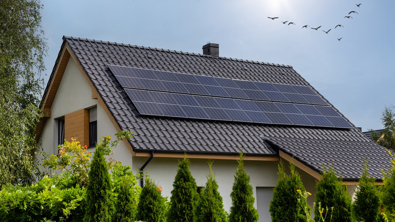 지붕 상단에 접근하기 위해 남은 좌절