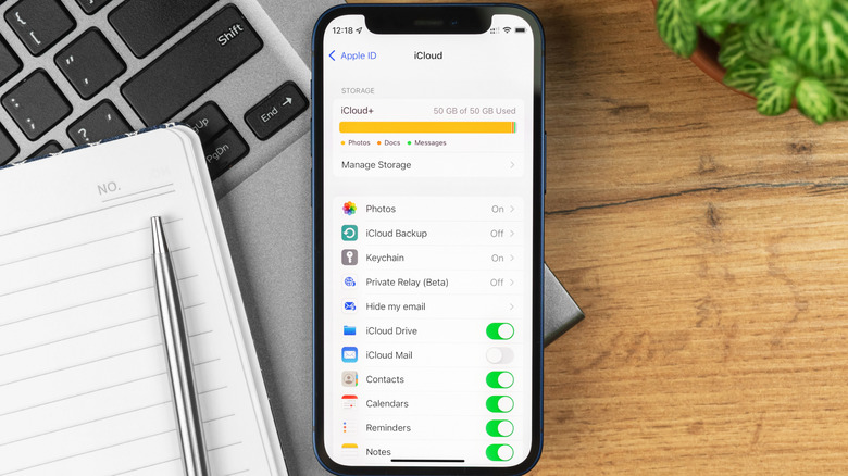 iCloud+ 스토리지 화면을 보여주는 iPhone