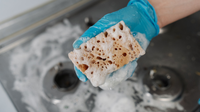 스폰지를 들고있는 사람