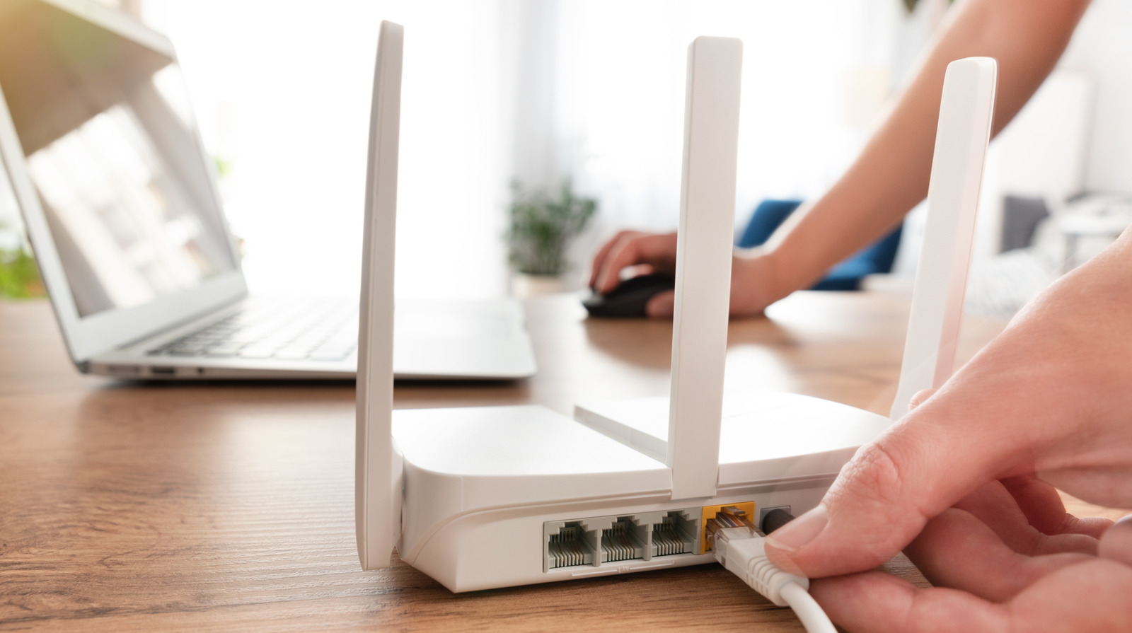 Wi-Fi 안테나에 대해 알아야 할 모든 것 (및 업그레이드 방법)