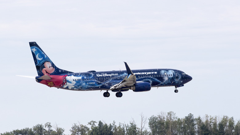 매우 낮은 고도에서 비행하는 디즈니 정복이있는 웨스트 제트 여객기, 측면보기