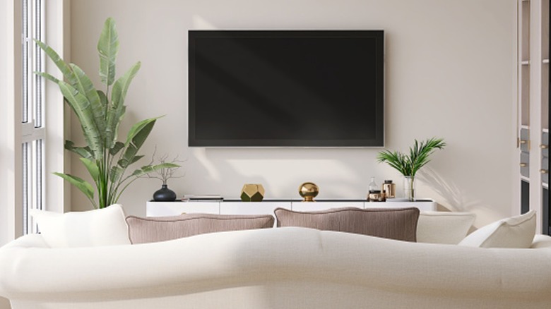 TV는 거실에 장착되었습니다