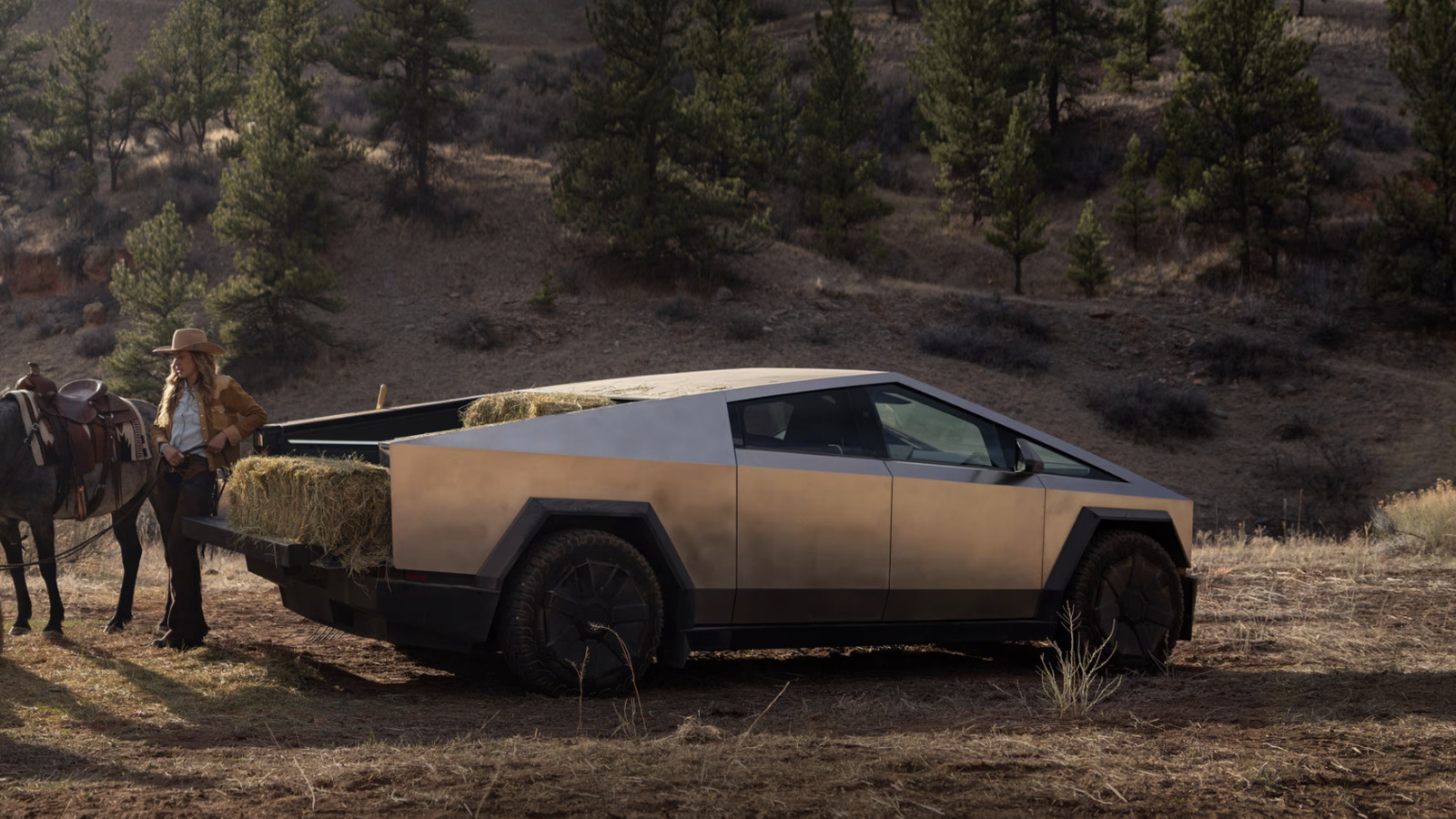 EV 세금 공제가 끝나면서 Tesla의 분기 별 판매 급등