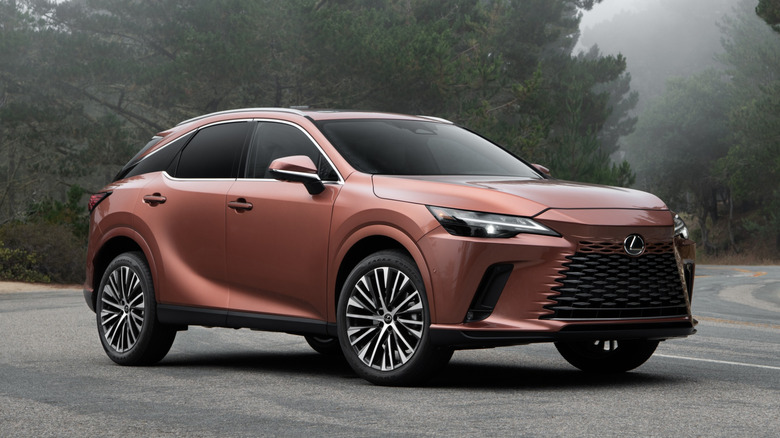 안개 낀 숲길에 주차된 Copper 2026 Lexus RX.