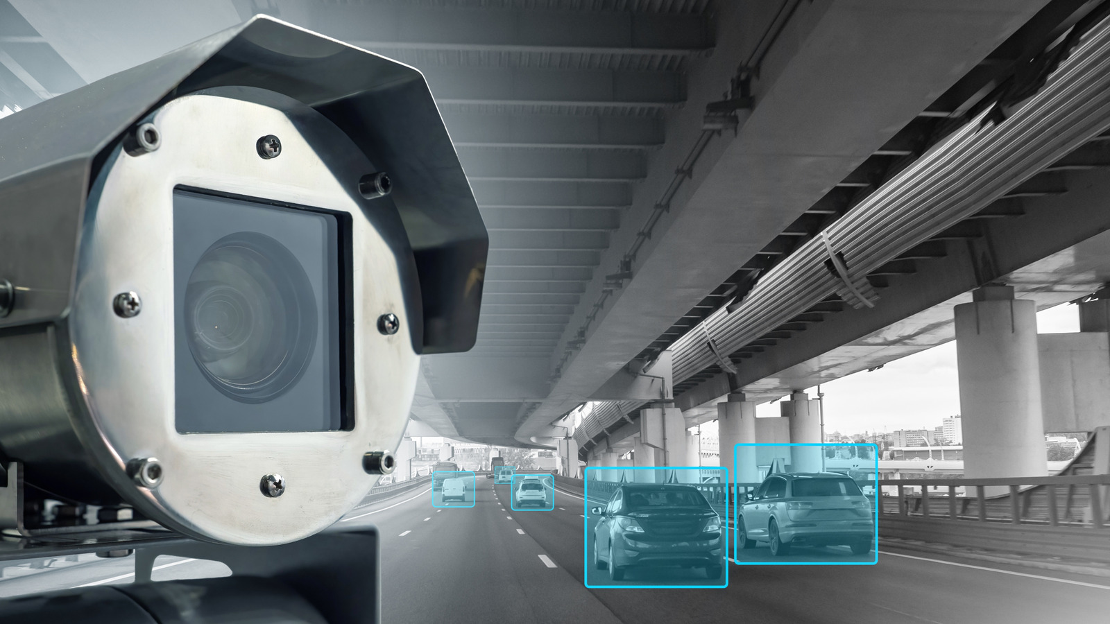 일주일 안에 1,000장이 넘는 티켓을 처리한 AI 교통 카메라