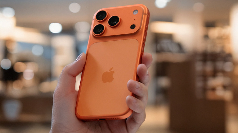 아이폰 17 프로 맥스를 손에 쥐다