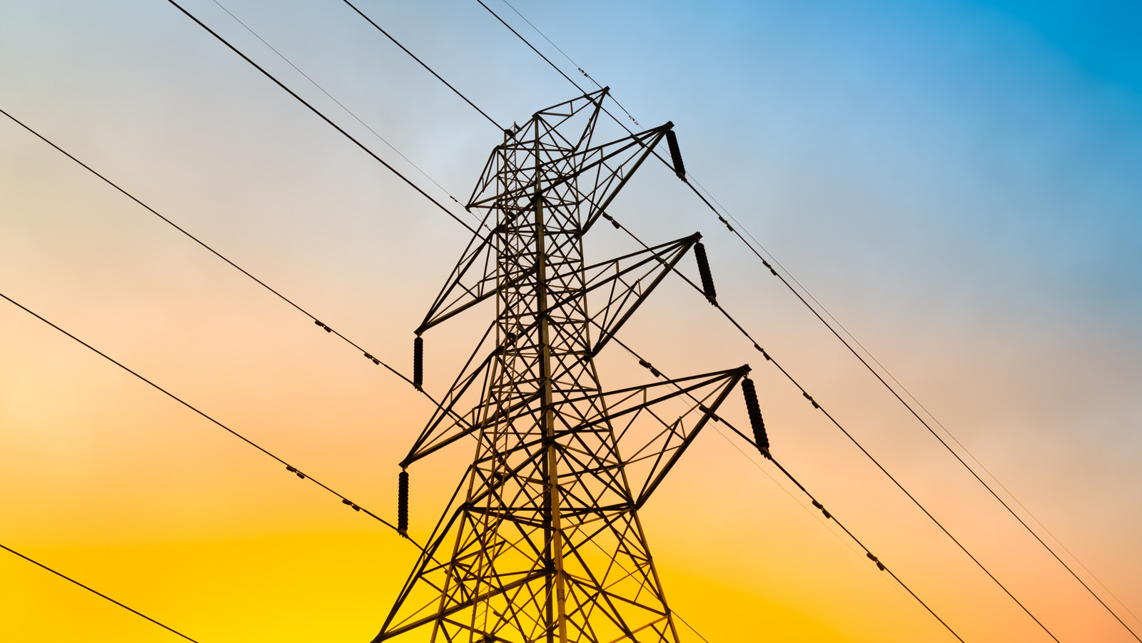 전력선의 무게는 무엇입니까?