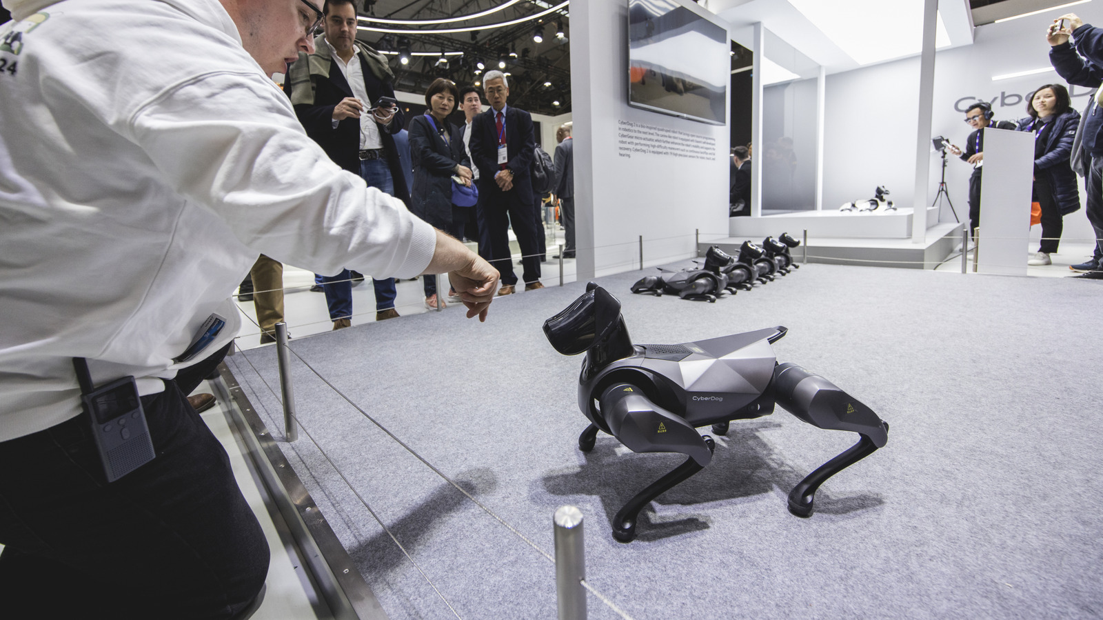 중국의 EV 회사들은 자동차를 만드는 것보다 더 많은 일을 하고 있습니다