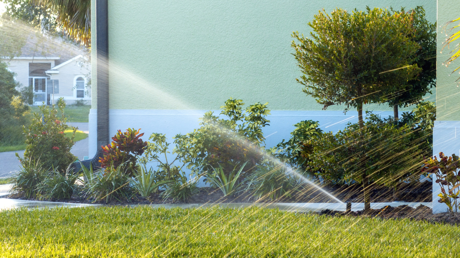 구입할 수 있는 최고의 스마트 스프링클러 컨트롤러 4가지