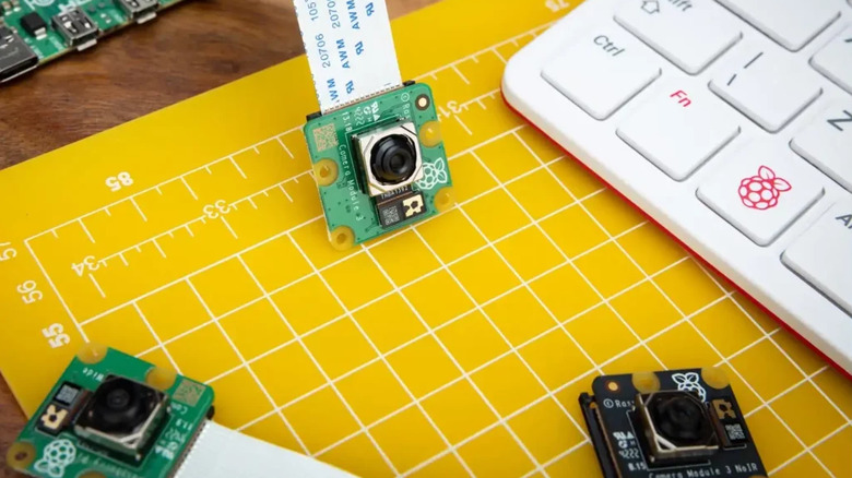 몇 개의 라즈베리 파이에 카메라가 설치되어 있습니다.
