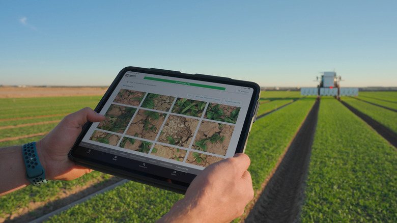 Carbon Robotics의 플랜트 프로필 기능이 실제로 작동 중입니다.