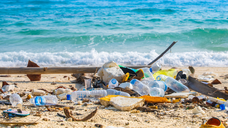 해변에 플라스틱 쓰레기 더미가 있습니다.