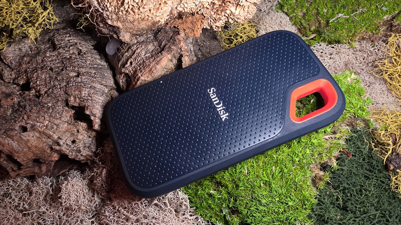 이끼 낀 배경의 OIder 모델 SanDisk Extreme Pro SSD