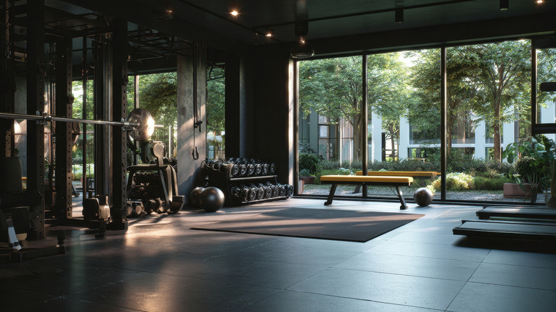 빈 체육관에 있는 운동 장비의 모습.