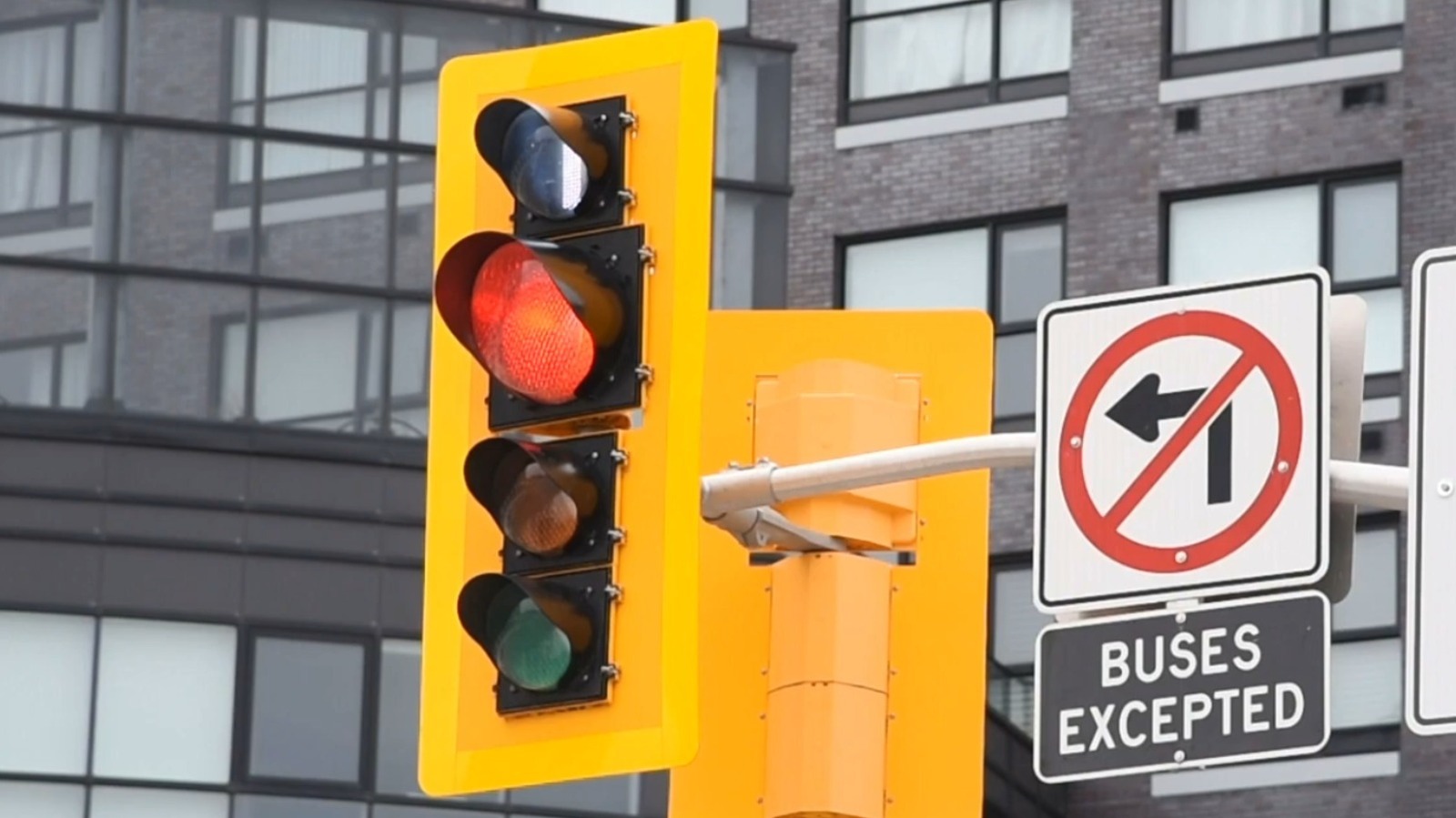 일부 도로에서 볼 수 있는 흰색 신호등은 귀하를 위한 것이 아닙니다.