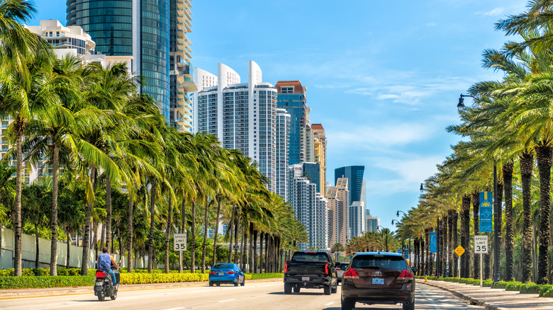 플로리다를 주행하는 다양한 차량.