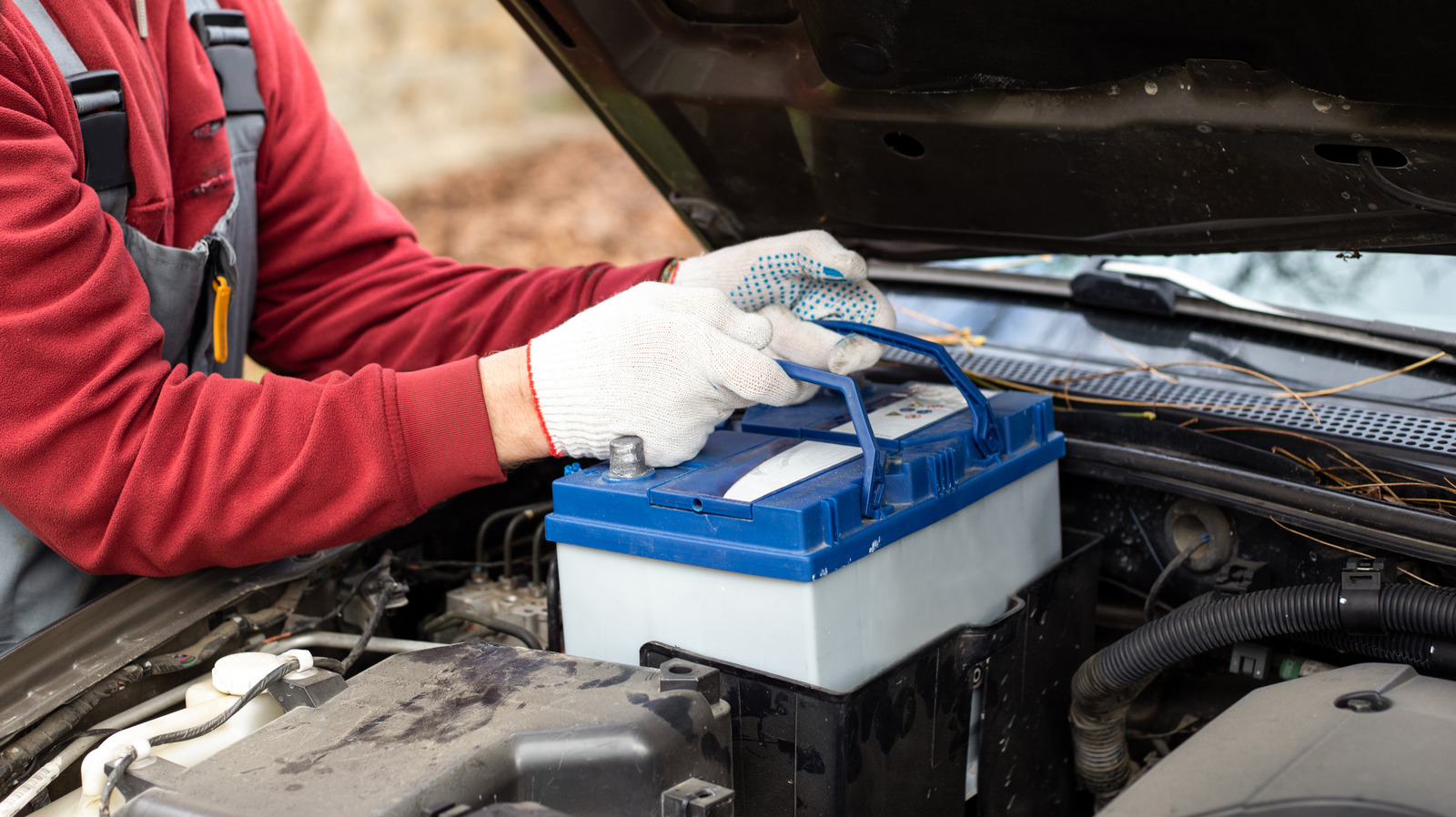 BJ 고객, 틱톡에 30개월 자동차 배터리 보증 매장 공개