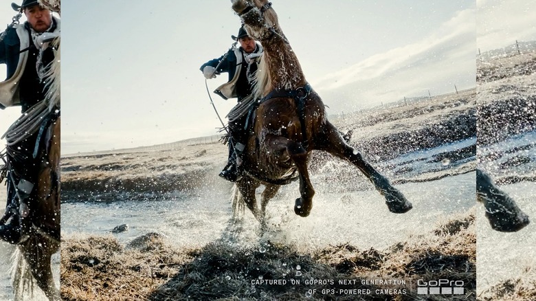 개울을 건너는 말과 기수.