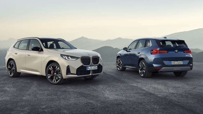 산을 배경으로 나란히 주차된 2024년형 BMW X3 모델 두 대.