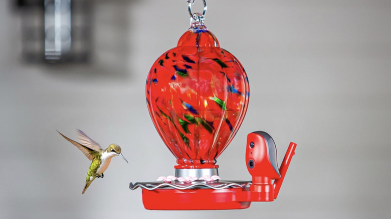 근처에 맴돌고 있는 벌새와 밖에 매달려 있는 Evergreen Solar Smart Hummingbird Feeder