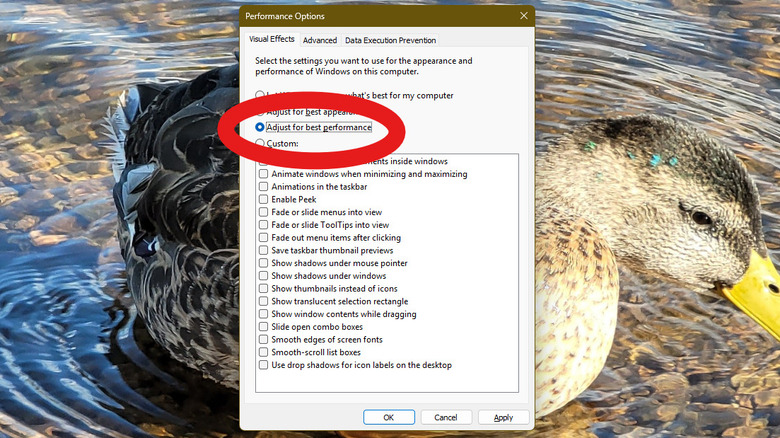 Windows 11 데스크톱에 표시되는 성능 옵션